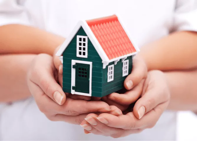 Transfer Loan